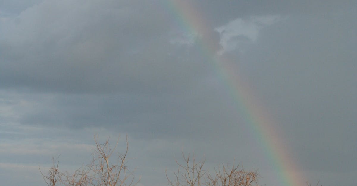 Free stock photo of rainbow