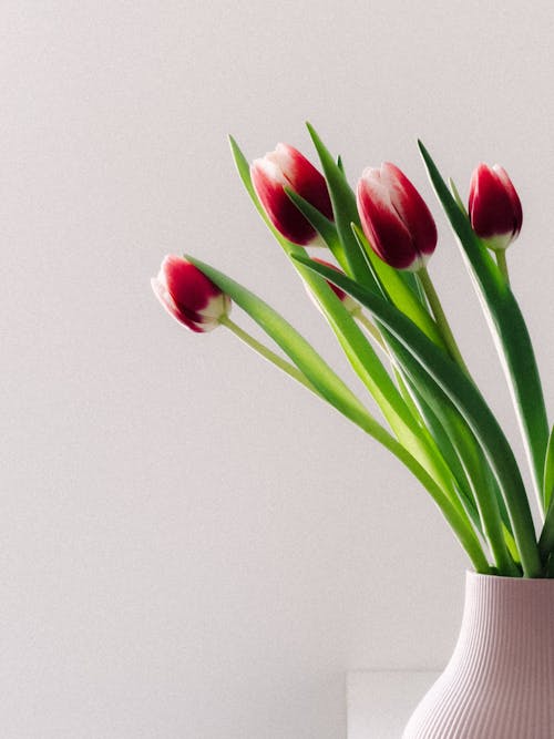 A vase with red tulips in it on a white table