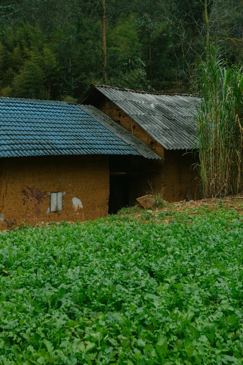 A small house with a blue roof and green grass