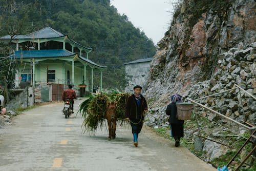 Foto profissional grátis de aldeia, aldeias, andando