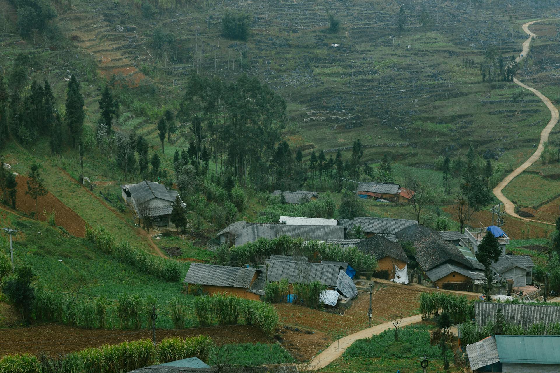 A serene, rustic village amidst terraced fields, showcasing rural simplicity.