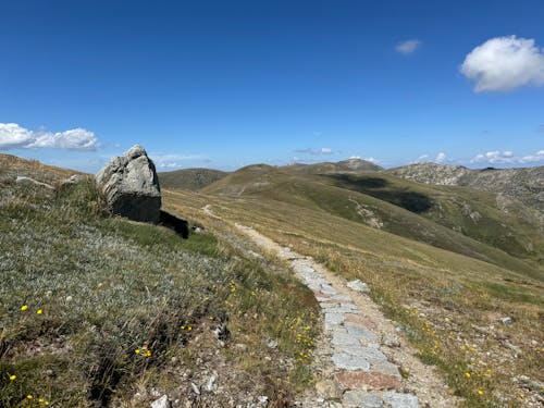 A trail in the mountains with a rock and grass