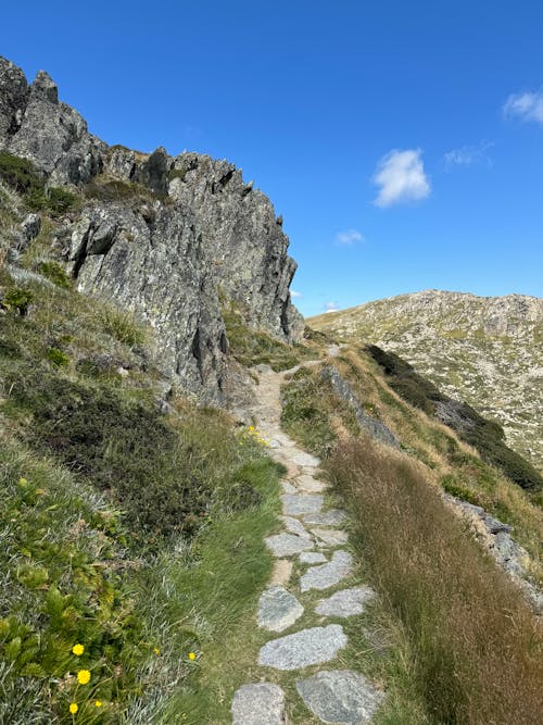 Photos gratuites de cailloux, chemin, érodé