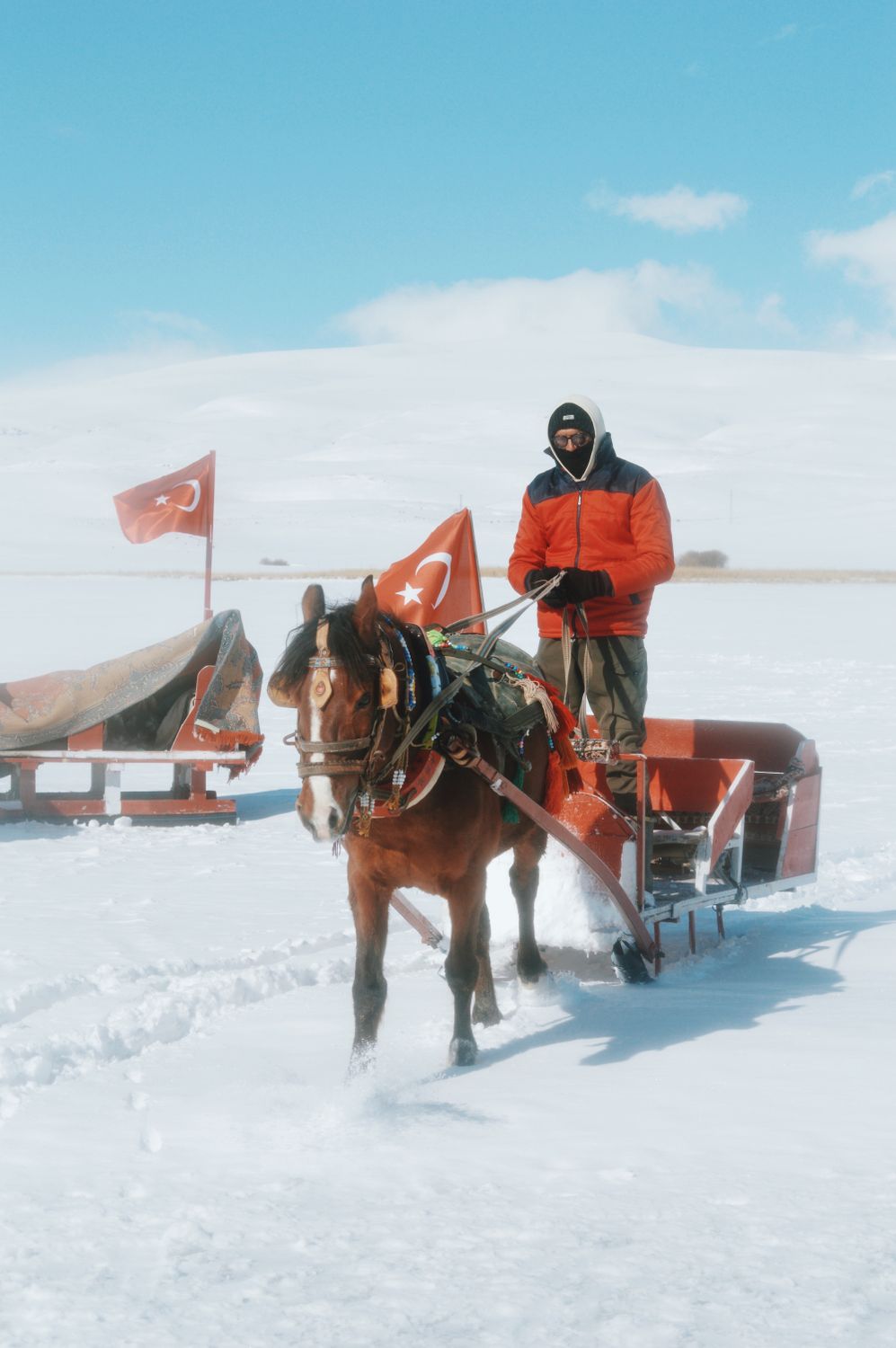 Man Riding Sled Man Riding a Sledgh · Free Stock Photo