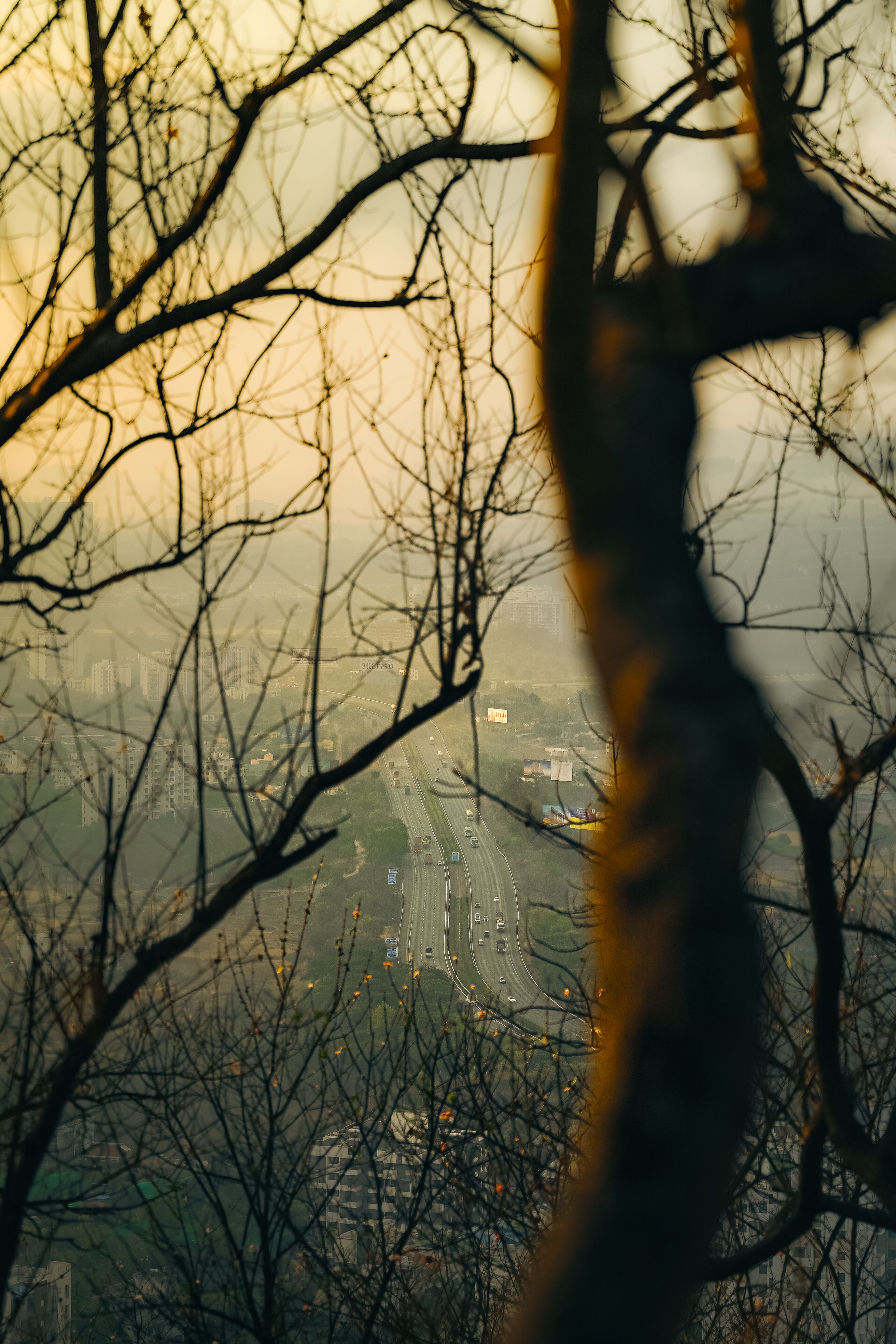 Aerial view of a road in Pune, India, framed by tree branches at sunset. | Indian Village Development