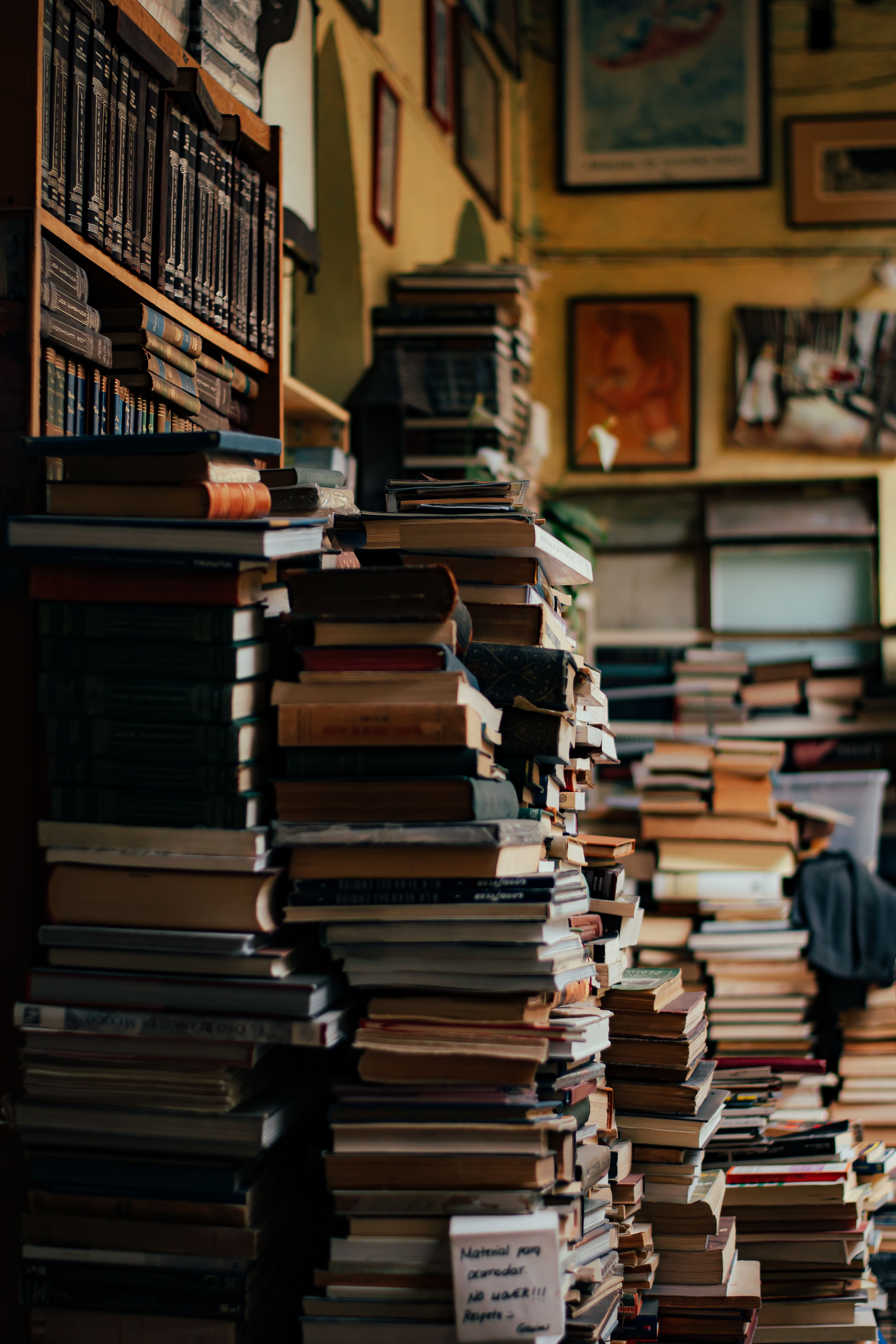 Piles of Books in a Bookstore · Free Stock Photo
