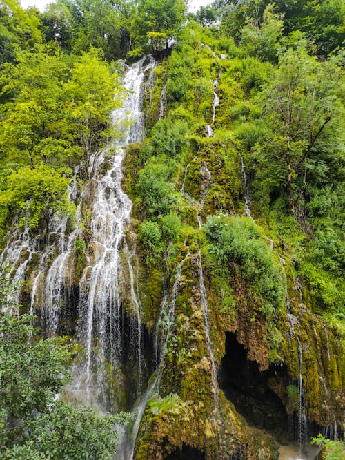 Бесплатное стоковое фото с giresun, водопады, деревья