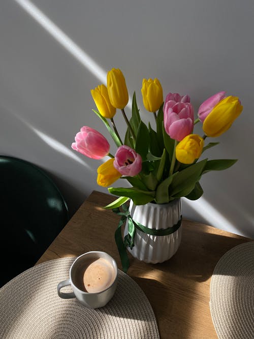 คลังภาพถ่ายฟรี ของ квіти, сонце, тюльпани