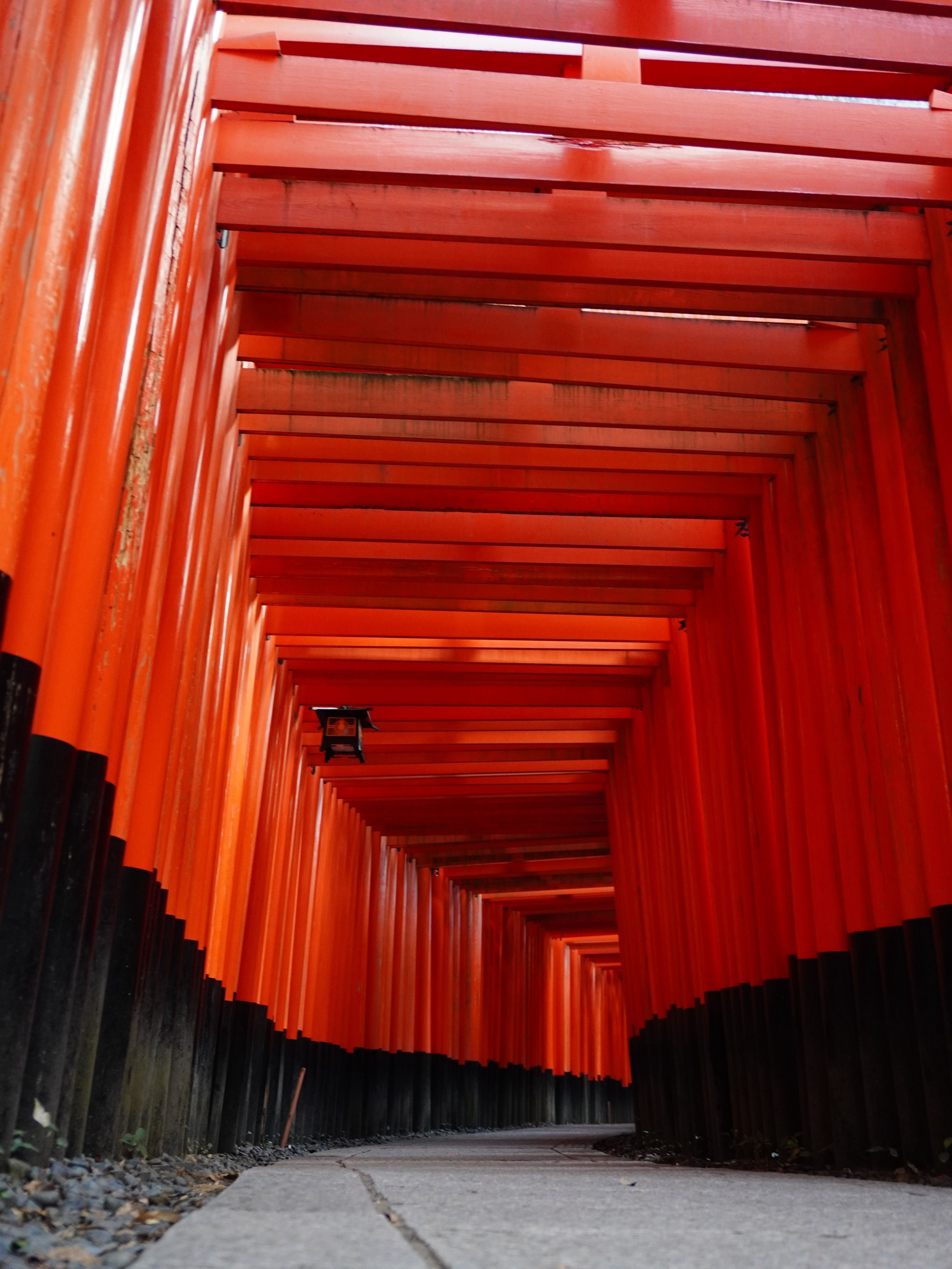 A tunnel with red tori gates and black posts · Free Stock Photo