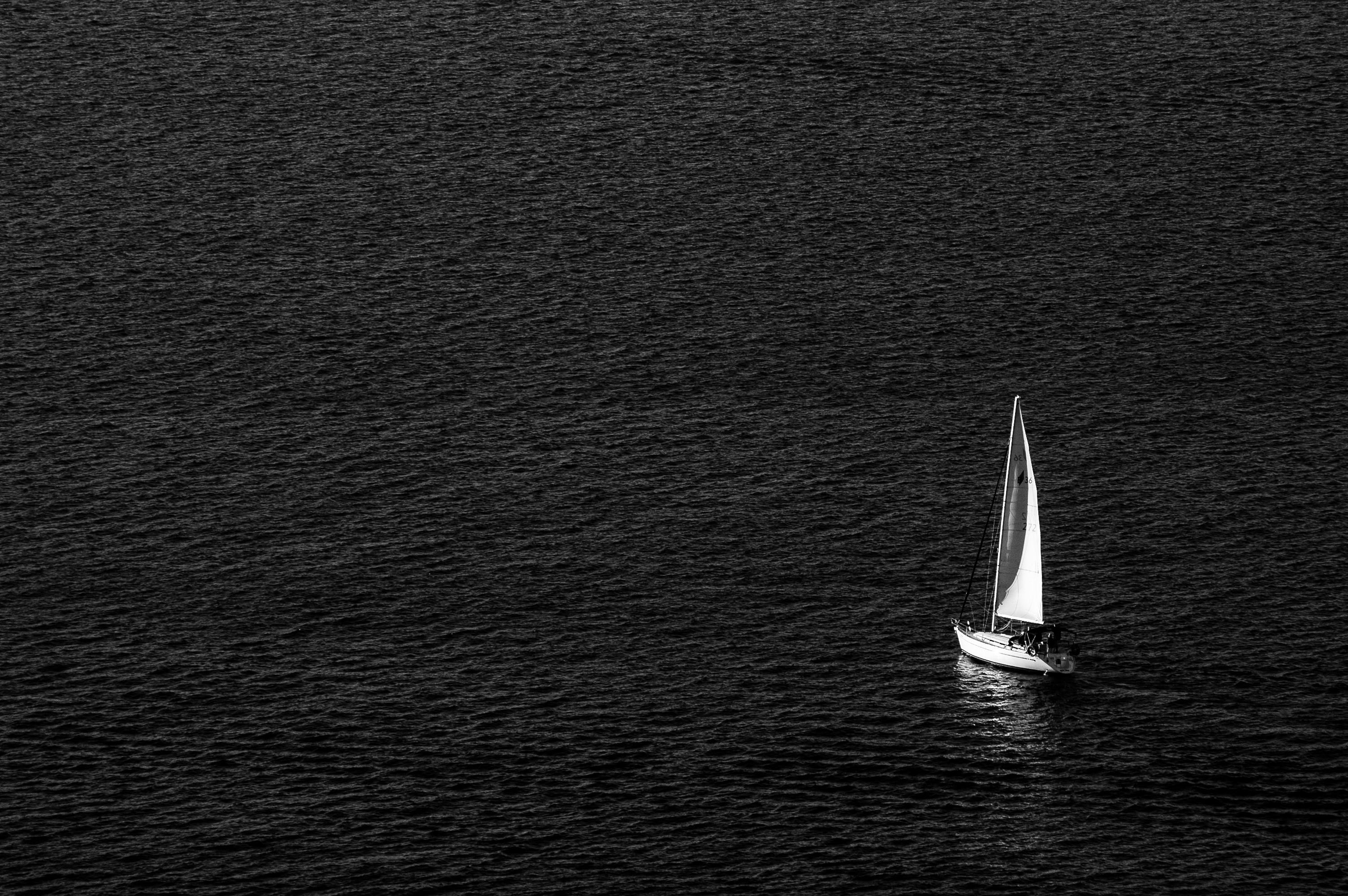 Black and white aerial view of a lone sailboat navigating the Sydney coastline.