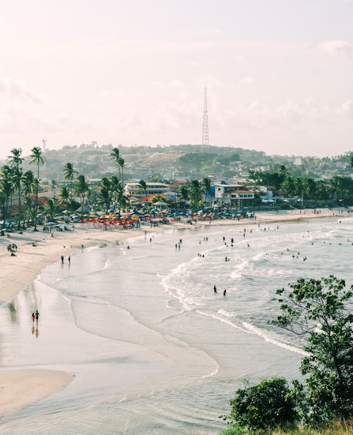 People on Beach on Sea Coast