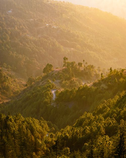 Free Scenic view of sunlit forested hills during sunrise, highlighting lush greenery and warm light. Stock Photo