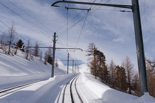 A train tracks in the snow with trees and power lines