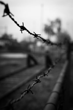 Crime Photos, Download The BEST Free Crime Stock Photos & HD Images