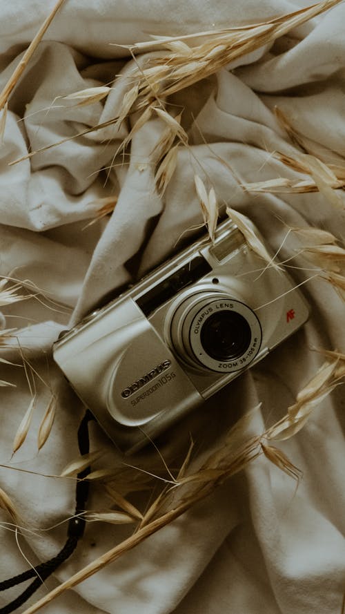 A camera on a blanket with some wheat