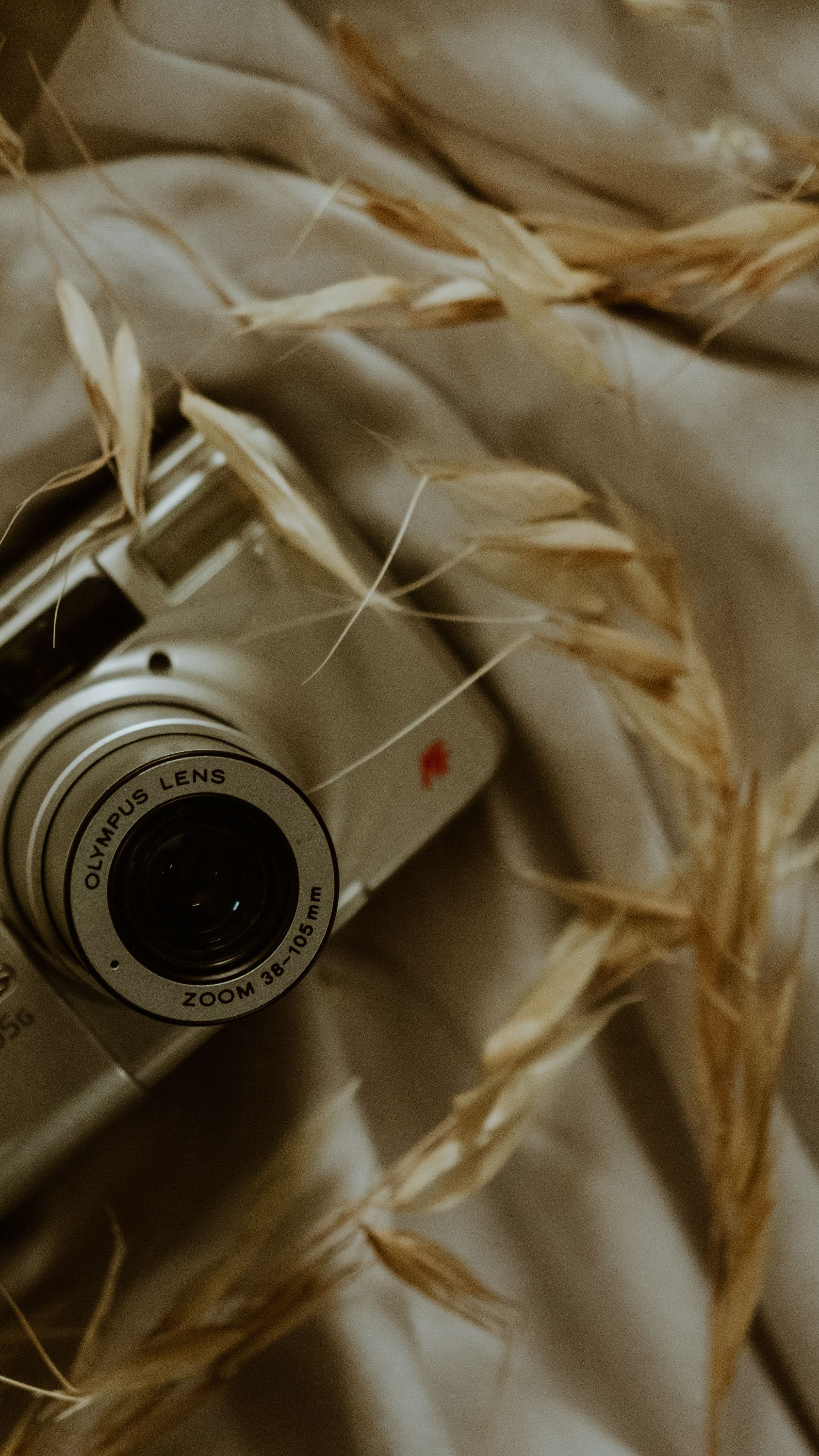 A classic Olympus camera surrounded by ears of grain on a textured fabric, evoking nostalgia.