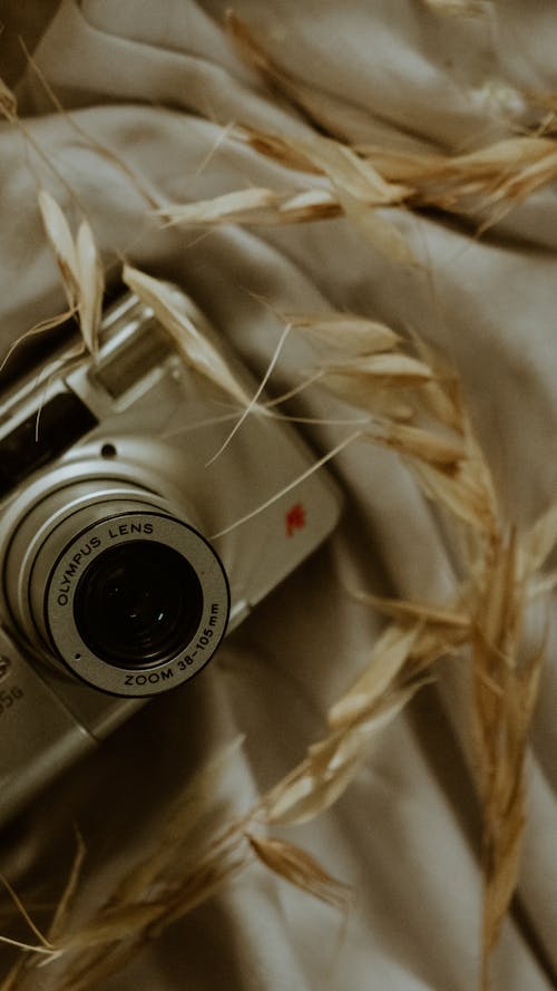 Foto profissional grátis de câmera olympus, espigas de grão, folha branca