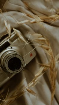 A classic Olympus camera surrounded by ears of grain on a textured fabric, evoking nostalgia.