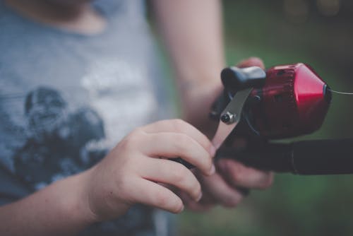 Základová fotografie zdarma na téma chytit, cívka, detail