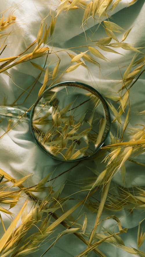 A glass of water on a bed with some wheat