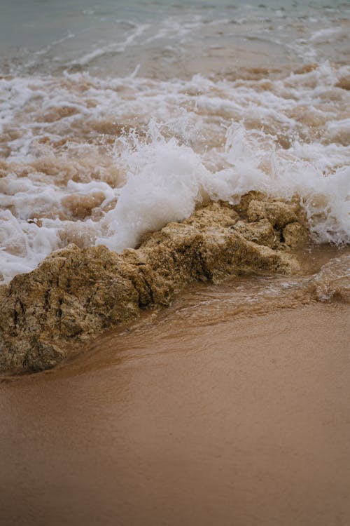 Free A portuguese summer  Stock Photo