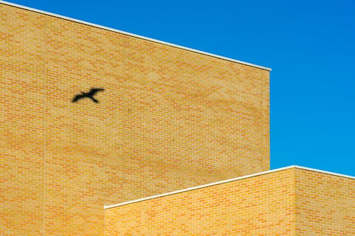 Základová fotografie zdarma na téma budova, cihly, čisté nebe