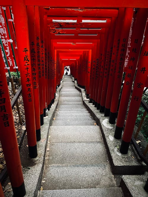 東京日枝神社 2   #Shotoniphone