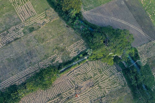 Ingyenes stockfotó drónfelvétel, fák, farm témában