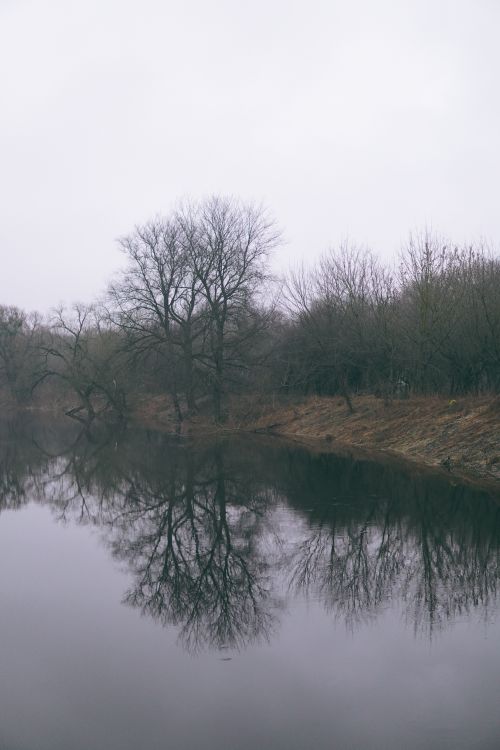 Free Leafless trees reflect in calm river creating a moody autumn scene. Stock Photo