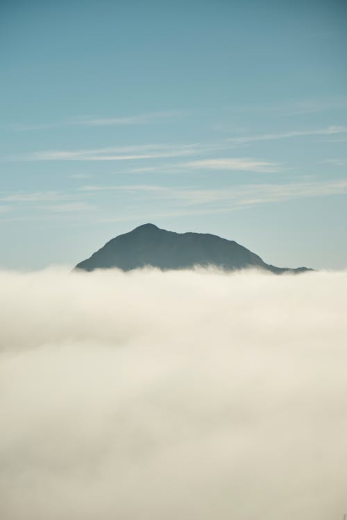 Foto profissional grátis de bico, branco, montanha