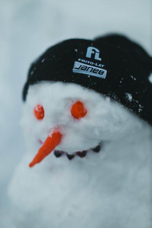 คลังภาพถ่ายฟรี ของ มนุษย์หิมะ, ยิงแนวตั้ง, ฤดูหนาว