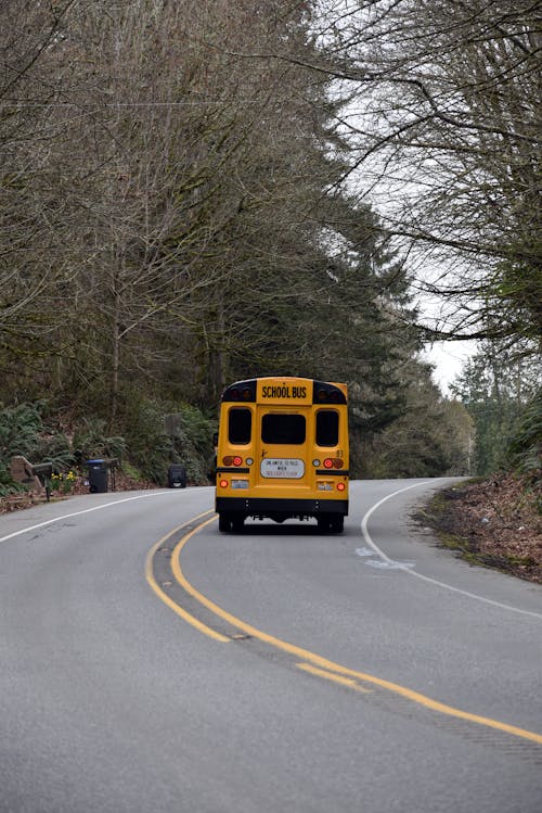 A school bus is driving down a road