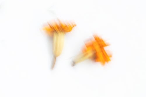 Imagine de stoc gratuită din a închide, alb, blur