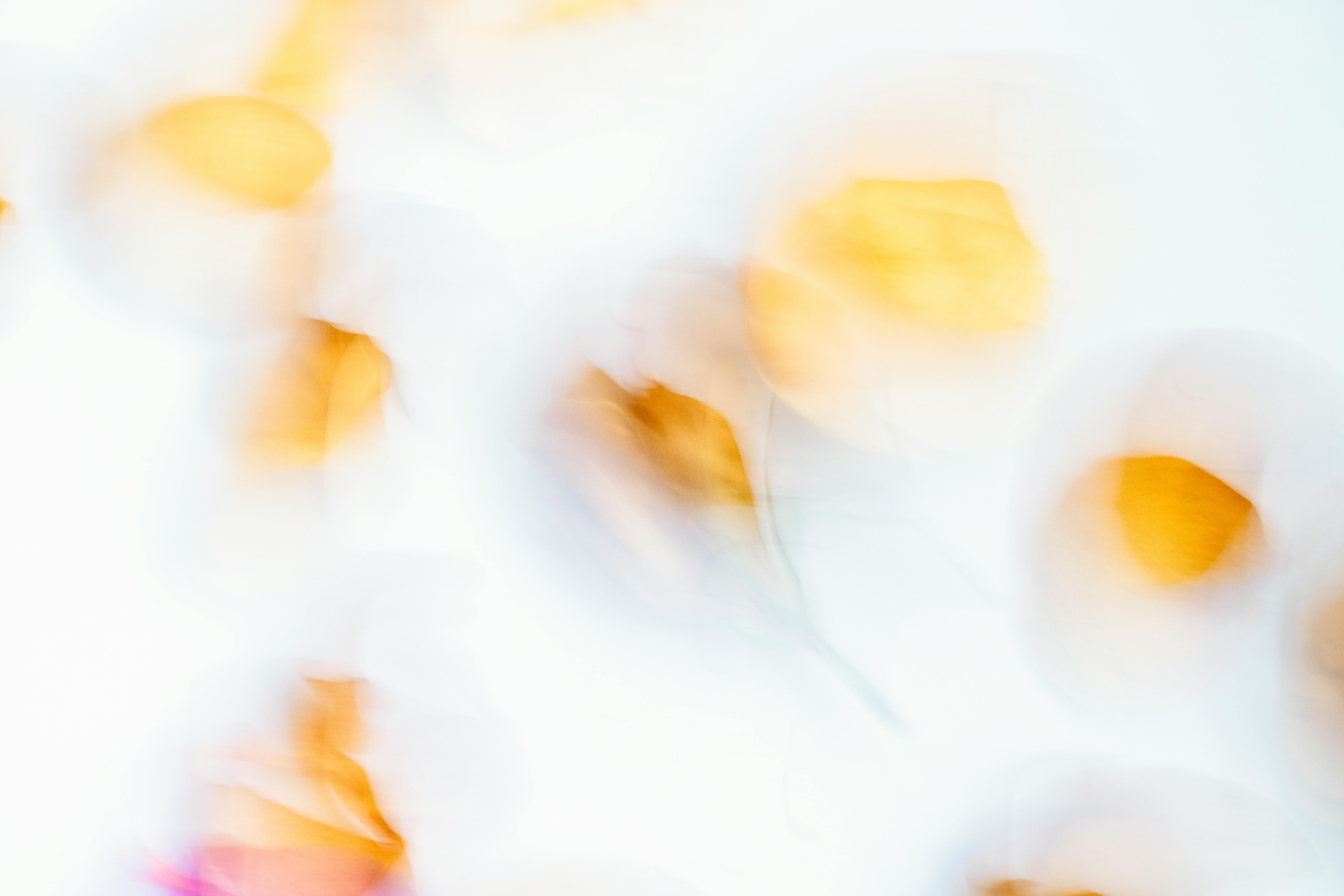 A dreamy defocused abstract image with soft blurred flowers and warm colors.