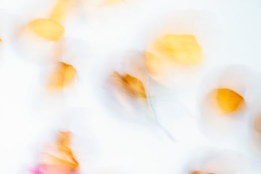 A dreamy defocused abstract image with soft blurred flowers and warm colors.