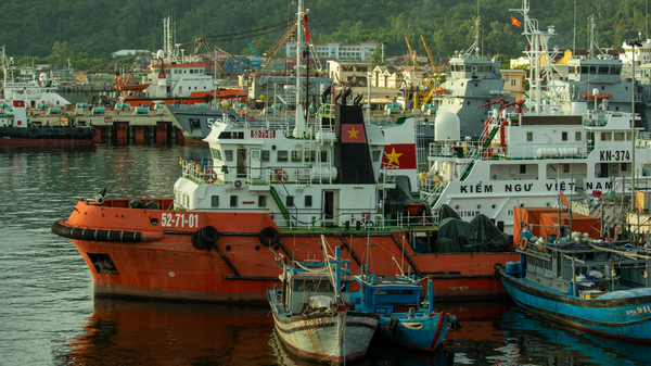 Cruise Experience in Da Nang