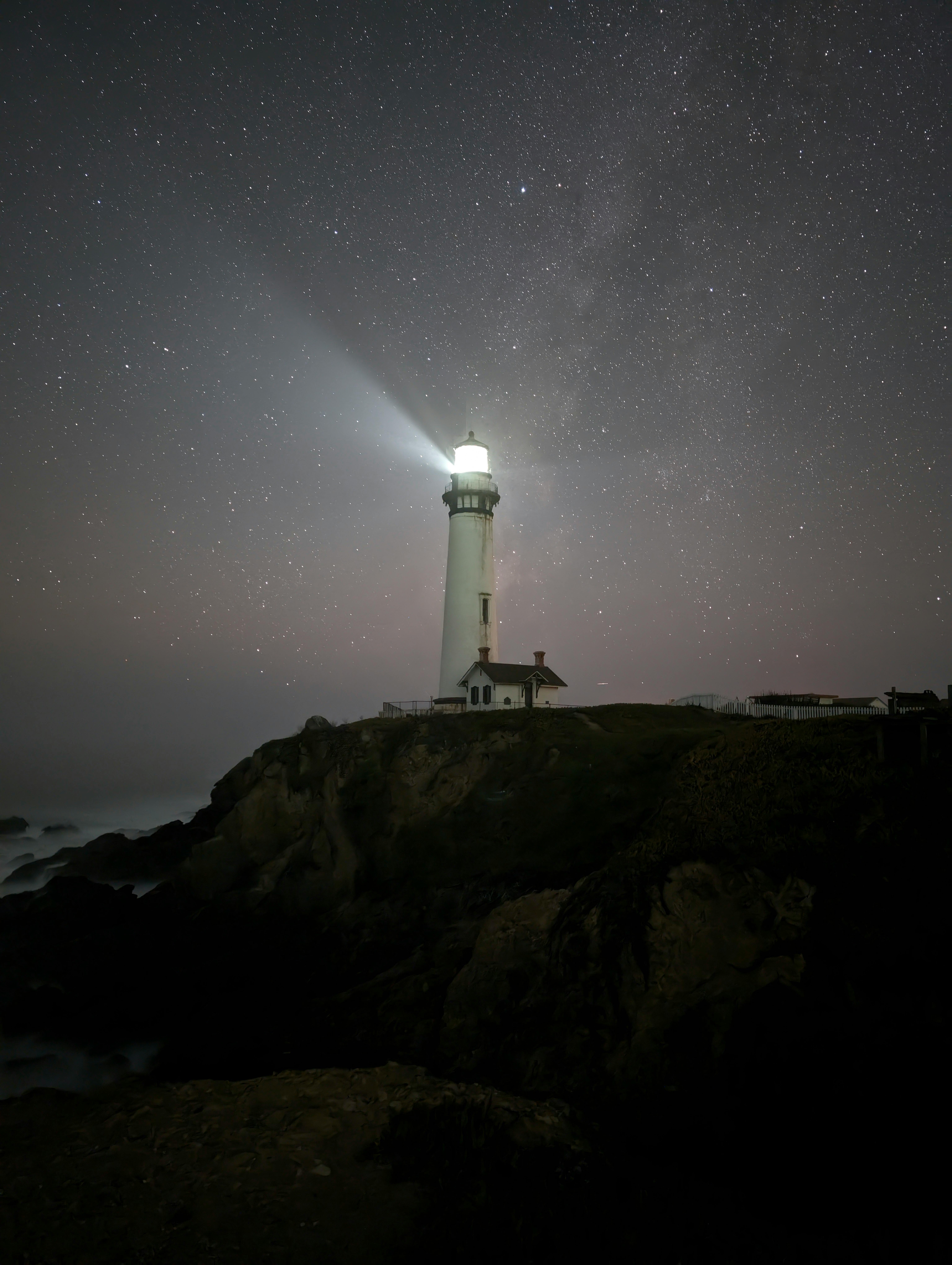 pexels-photo-20575900.jpeg?