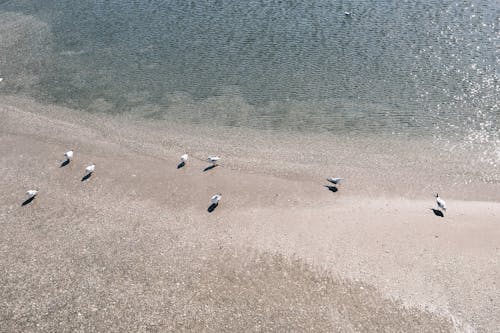 Aerial view of a beach with boats on it