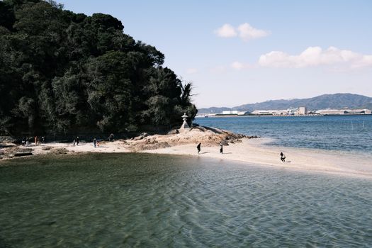 Iriomote jungle kayak — Okinawa