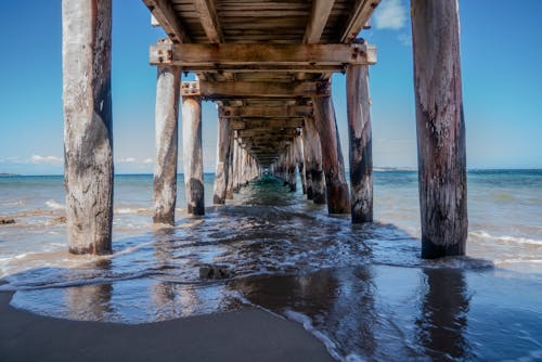 Ingyenes stockfotó építés, fa, strand témában