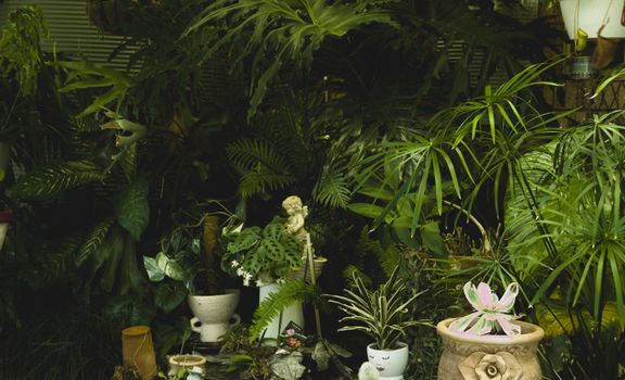 Explore a lush botanical garden filled with exotic plants and elegant statues in Woodvale, Australia.