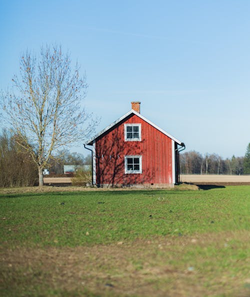 Ingyenes stockfotó épület, fa, farm témában