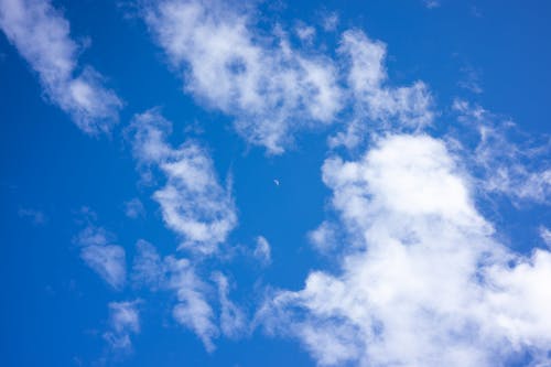 Základová fotografie zdarma na téma bílé mraky, lehké zataženo, modrá obloha