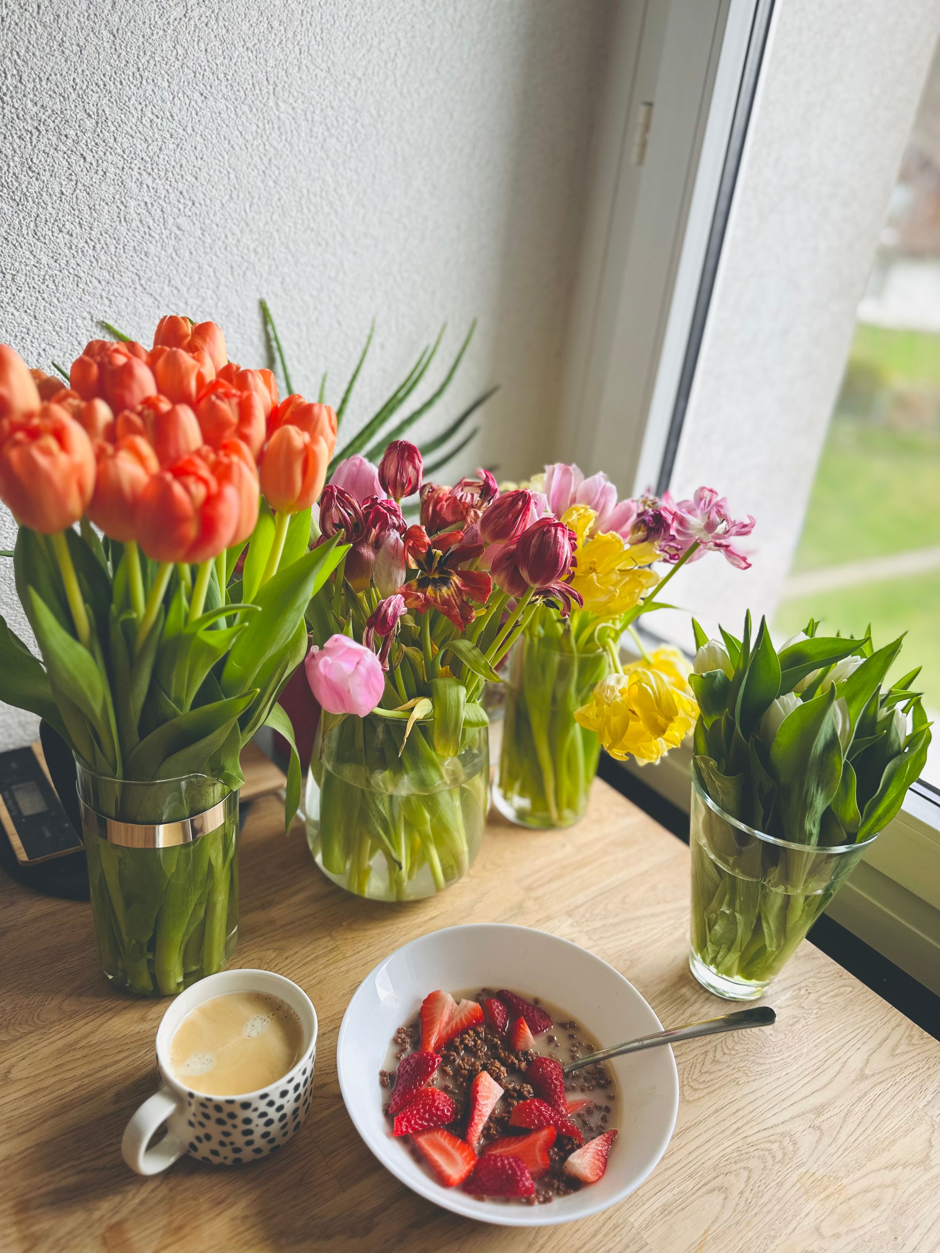 Strawberries and Colorful Tulips by the Window · Free Stock Photo