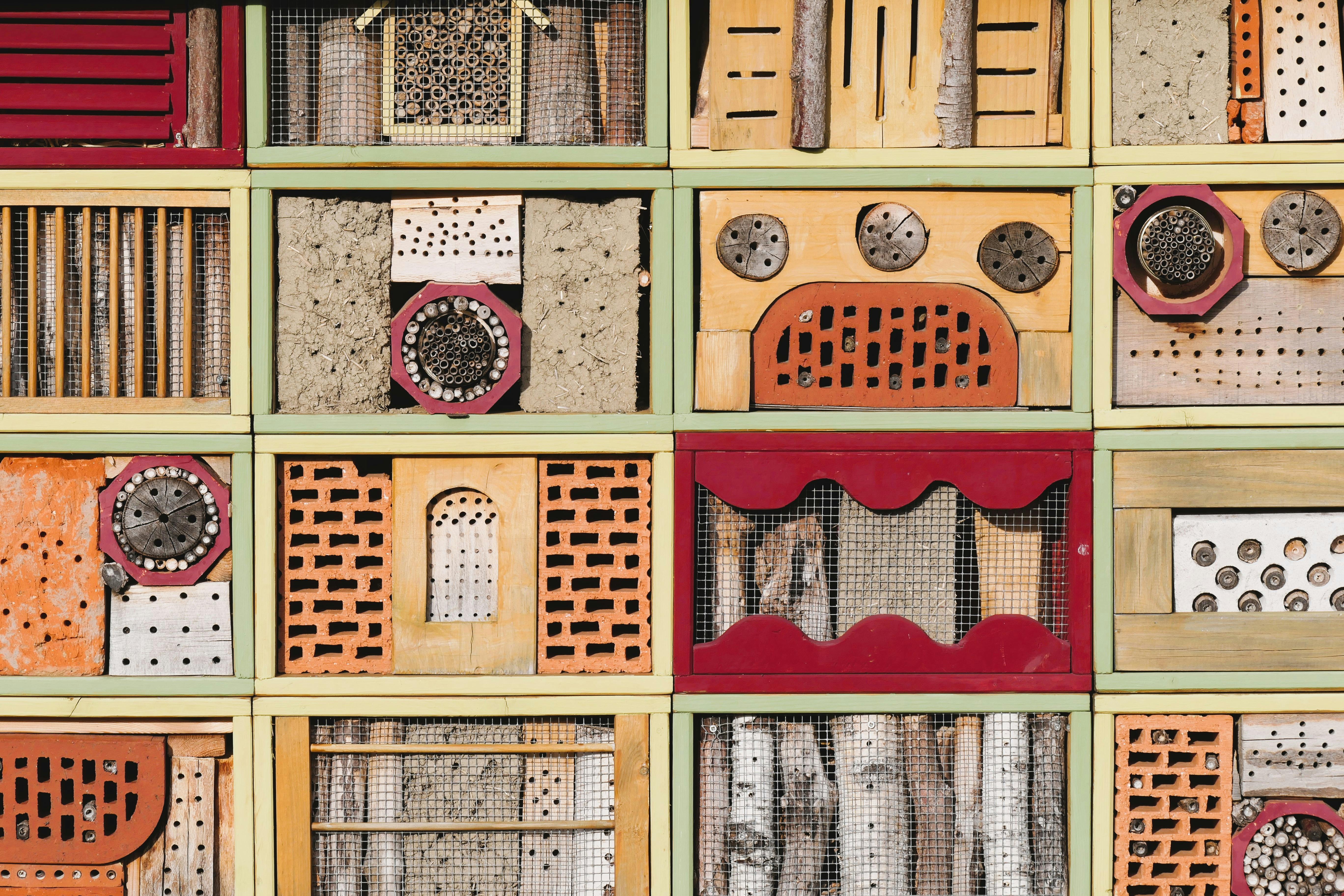 Hoteles de Insectos: Refugios para Biodiversidad y Control Biológico