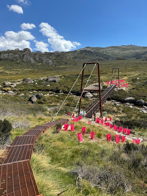 View of a Walkway and a Suspension Bridge in Mountains in New South Wales, Australia