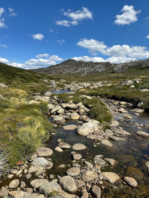 View of a Rocky Stream in Mountains in New South Wales, Australia
