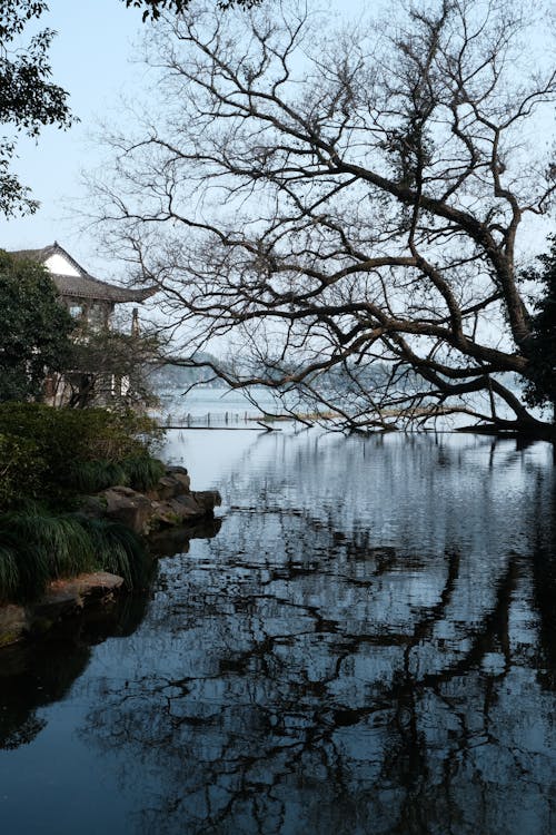 Ilmainen kuvapankkikuva tunnisteilla heijastus, järvi, Kiina