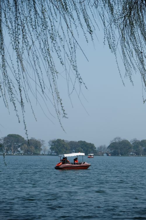 Free A calm lake scene with a red boat and hanging branches on a sunny day. Stock Photo