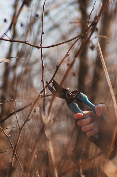 A person holding a pair of scissors in the woods